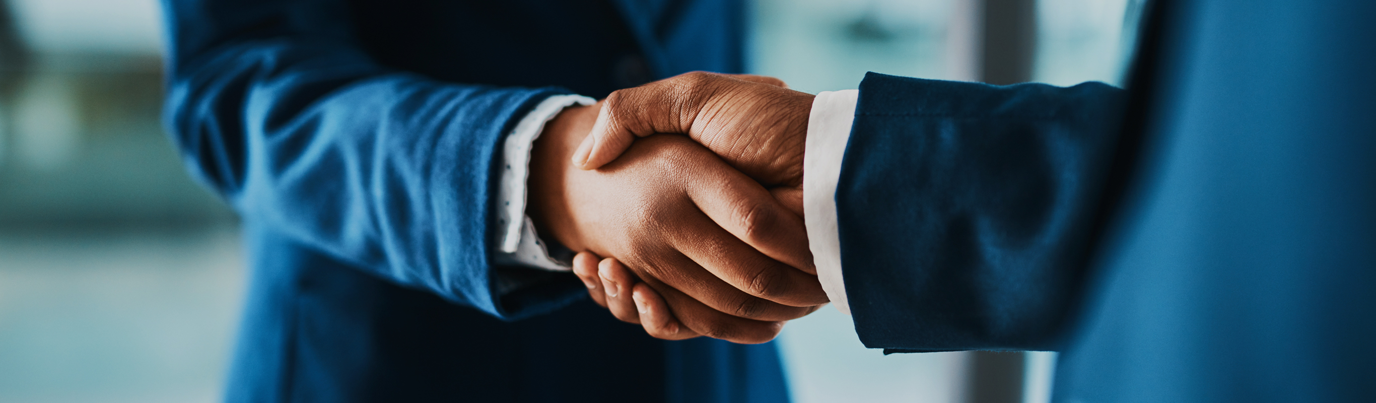 partner_organizations